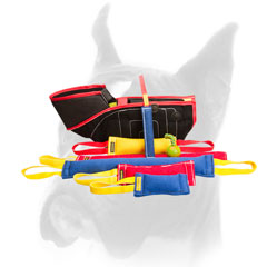 Effective training French Linen training bite tugs for Boxer