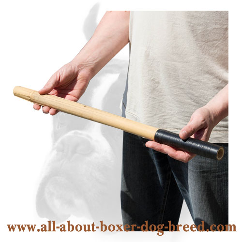 Training Bamboo Dog Stick