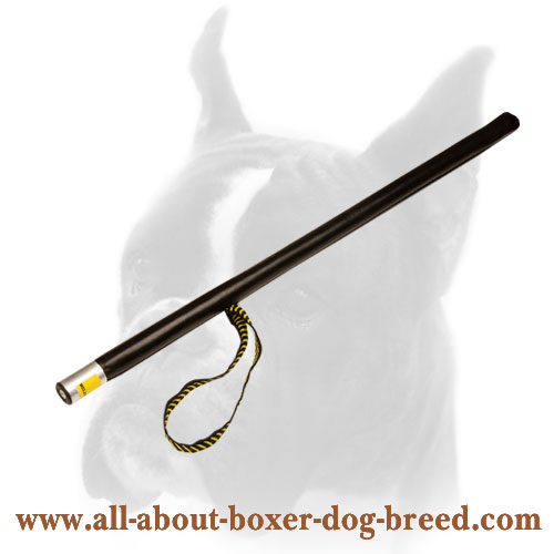 Training Plastic Dog Stick