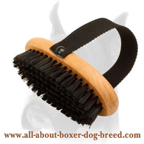 All-Coat Types Bristle Brush