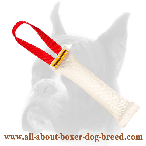 Great Dane Fire Hose Bite Tug 