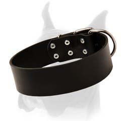Extra Wide Collar for Boxer Made of Genuine Full Grain Leather