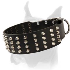 Extra Wide Boxer Collar with 4 Rows of Pyramids
