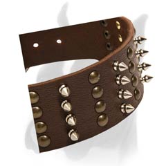 2 2/5 Inches (approx 60 mm) Wide Leather Collar for Boxer with Spikes and Studs