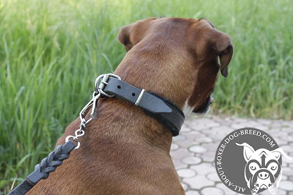 Soft Leather Boxer Collar with Strong D-Ring and Buckle