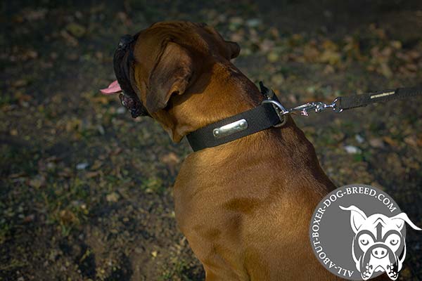 Strong Buckled Nylon Boxer Collar 