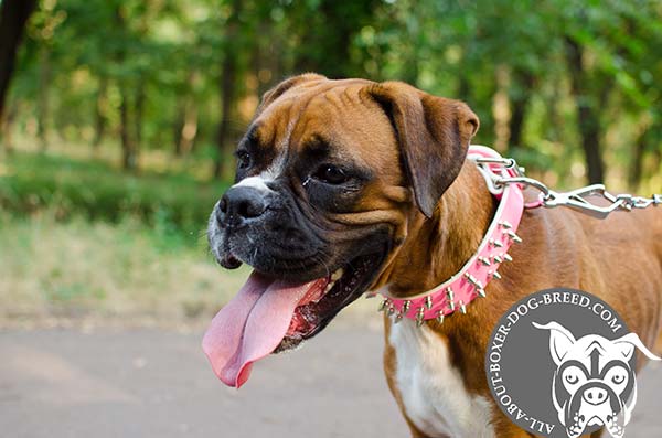 Leather Boxer Collar with Durable Hardware