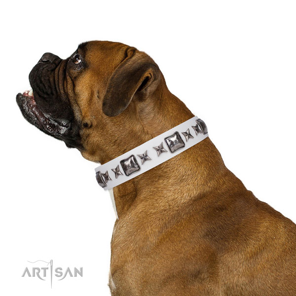 Top notch decorated leather dog collar for comfy wearing