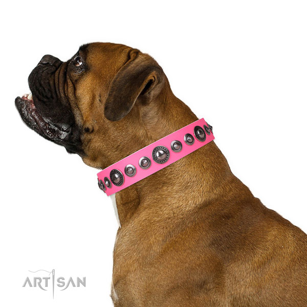Impressive adorned leather dog collar for fancy walking