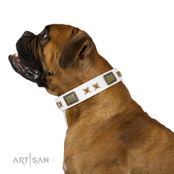 Significant decorations on walking full grain natural leather dog collar