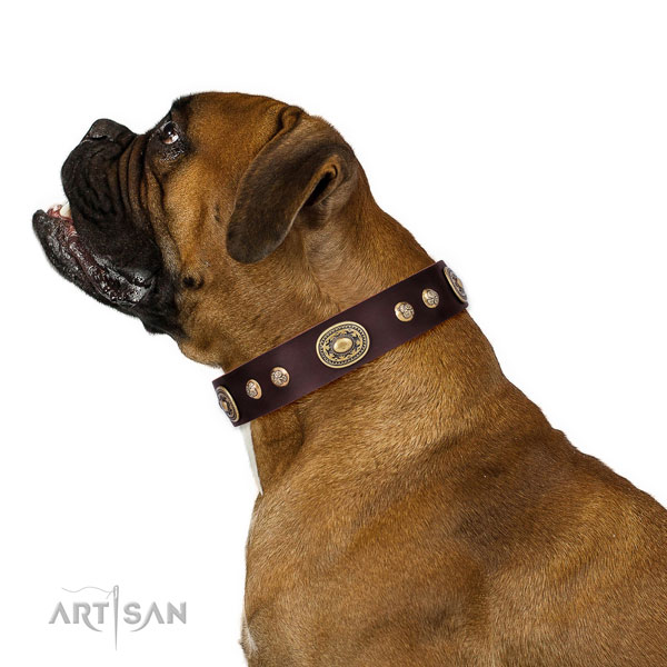 Stylish design studs on basic training dog collar