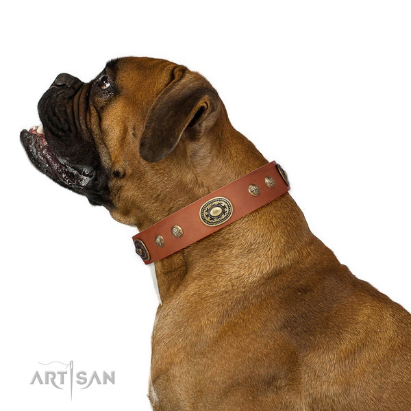 Incredible adornments on daily use dog collar