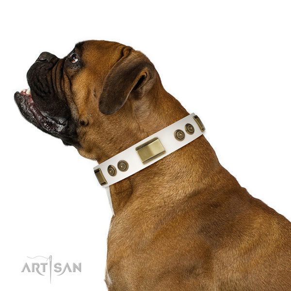 Top notch everyday use dog collar of natural leather