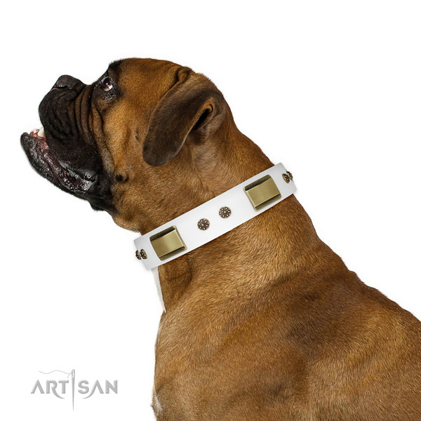 Comfortable wearing dog collar of genuine leather with stunning adornments