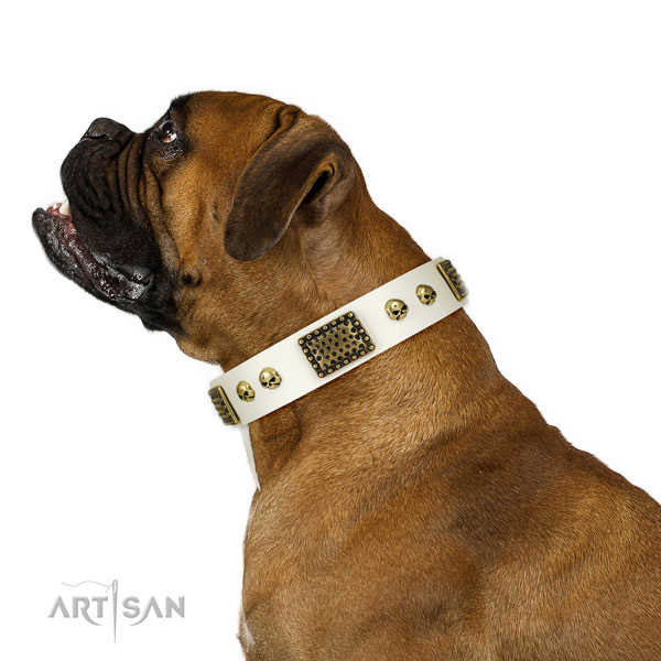 Rust resistant D-ring on genuine leather dog collar for fancy walking