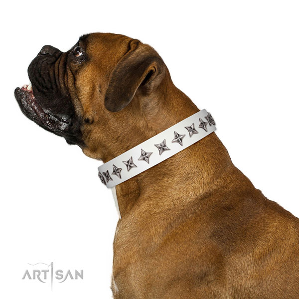 Finest quality full grain leather dog collar with stylish studs