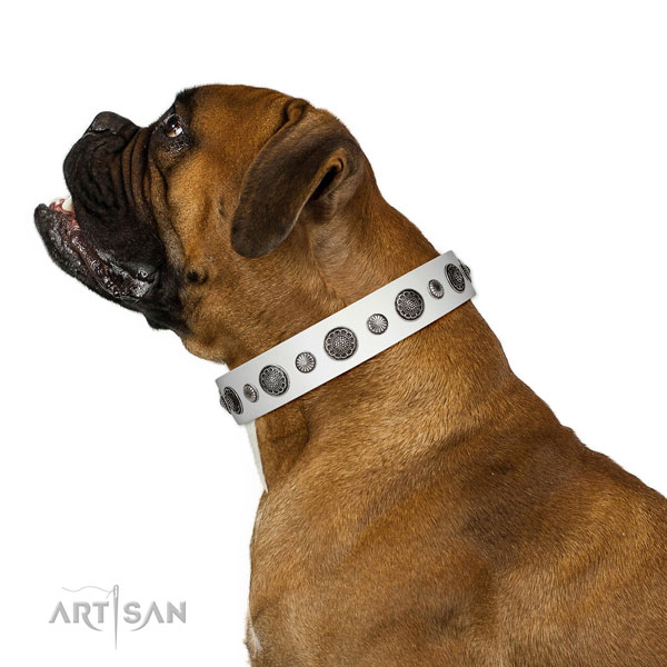 Convenient natural leather dog collar with rust resistant hardware