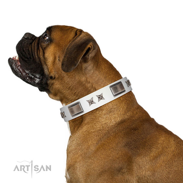 Easy wearing collar of leather for your attractive canine