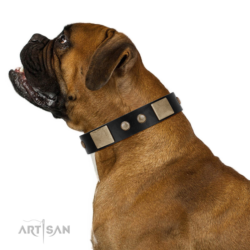 Don't be fooled. The 3 questions for 'luxury' leather dog collar