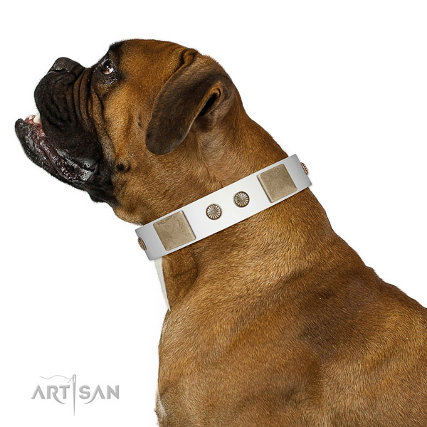 Rust resistant D-ring on genuine leather dog collar for fancy walking