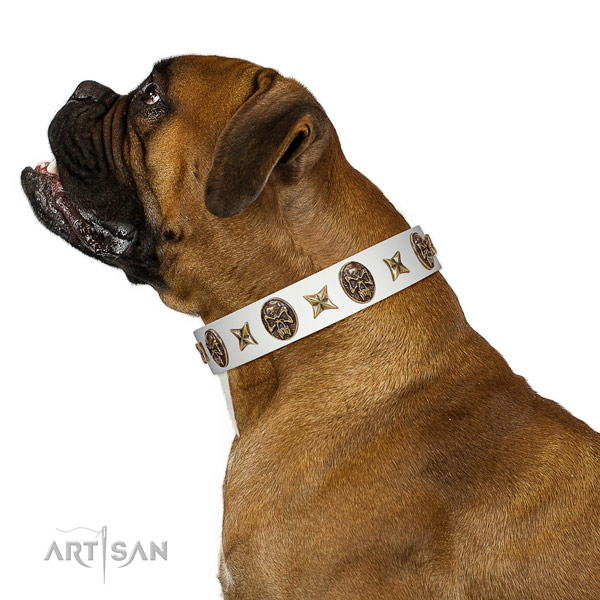 Easy to adjust dog collar created for your lovely doggie