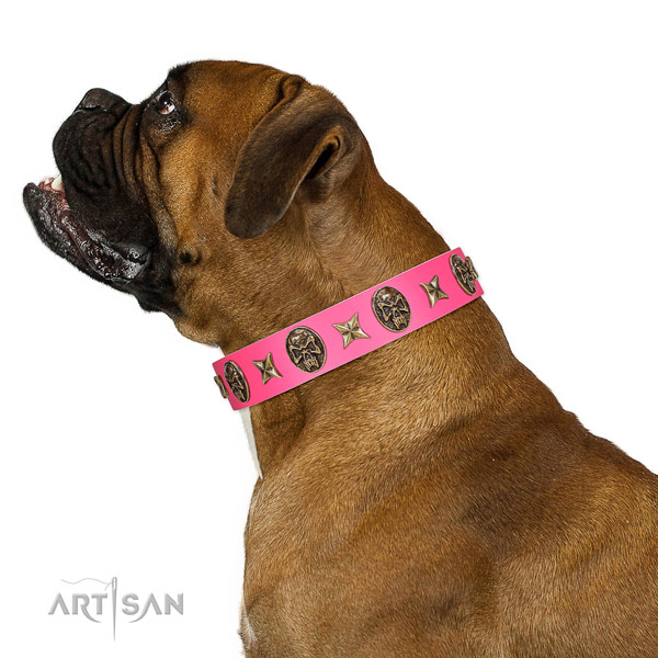 Designer dog collar created for your impressive pet