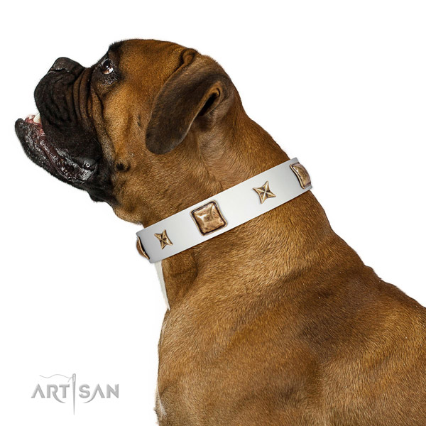 Stunning full grain natural leather dog collar with embellishments
