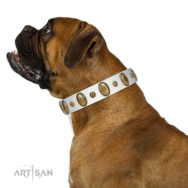Easy wearing high quality full grain leather dog collar with embellishments