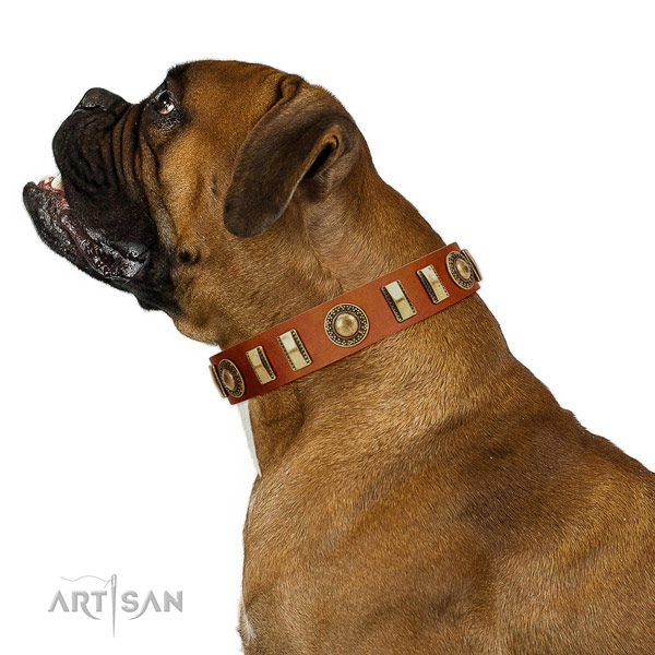 Top notch full grain leather dog collar with durable fittings