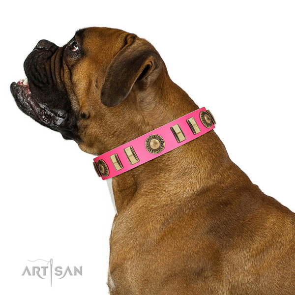 Amazing leather dog collar with durable fittings