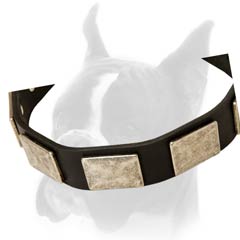 Amazing Dog Collar