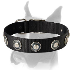 Secure Collar of two-ply Nylon