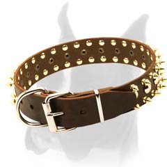 Amazing Collar with Spikes