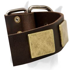 1 1/2 Inches Wide Leather Collar with Massive Plates for Boxer