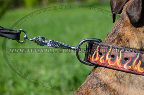 Boxer Leather Collar With Extra Strong Hardware