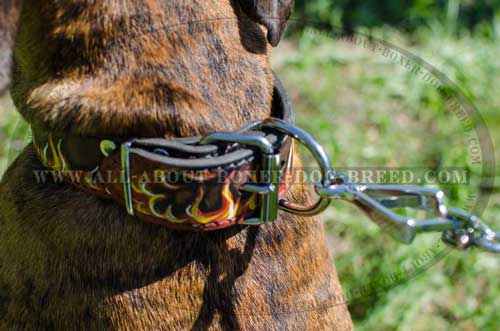 Boxer Leather Collar Adjustable and Reliable