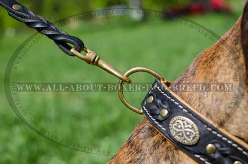 Boxer Leather Collar With Fur Protection Plate