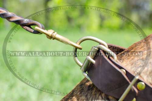 Boxer Leather Collar With Firm Buckle and D-ring