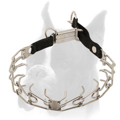 Boxer Pinch Collar of Stainless Steel