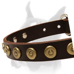 Boxer Dog Collar for Easy training