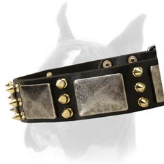 Easy to use and maintain Collar with Spikes and Plates