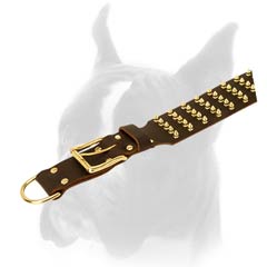 Chick Collar with a lot of Brass Spikes