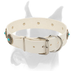 Unique Boxer collar with hand set decorations