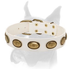 Stylish Boxer collar made of top quality leather