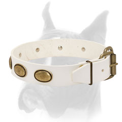 Adjustable leather collar for Boxer