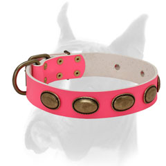 Luxury style pink collar for female Boxer