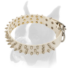 Adjustable leather Boxer collar