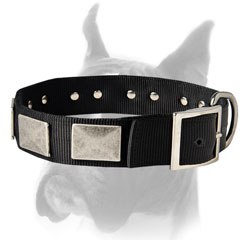 Safe Collar of two-ply Nylon