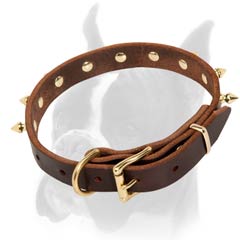 Fancy Design Leather Collar