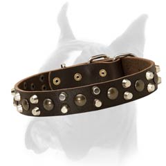 Collar with Rust-free metal parts